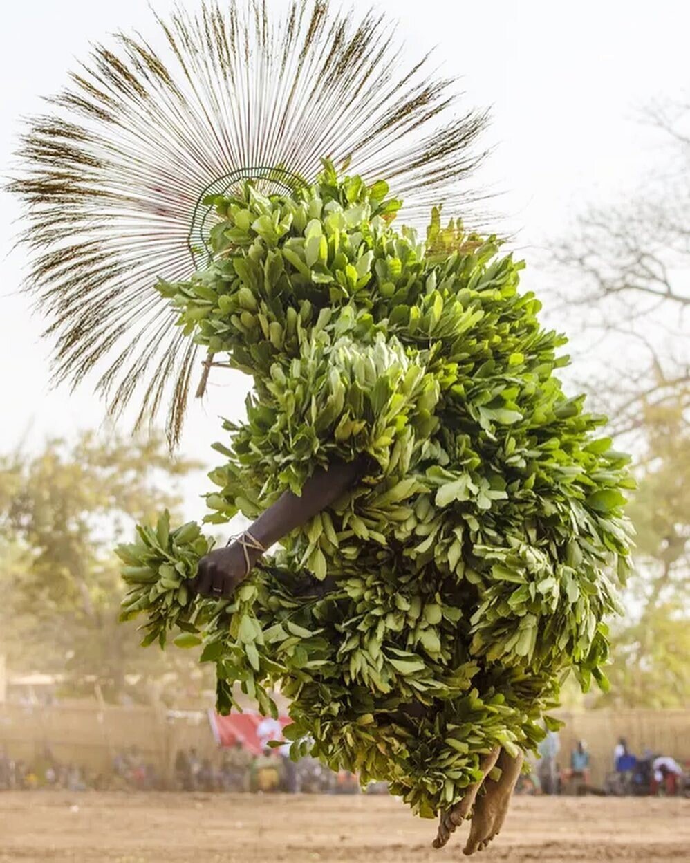 bwa bobo dwo ritual brukina faso africa baile mascaras trajes naturaleza tradicion 4