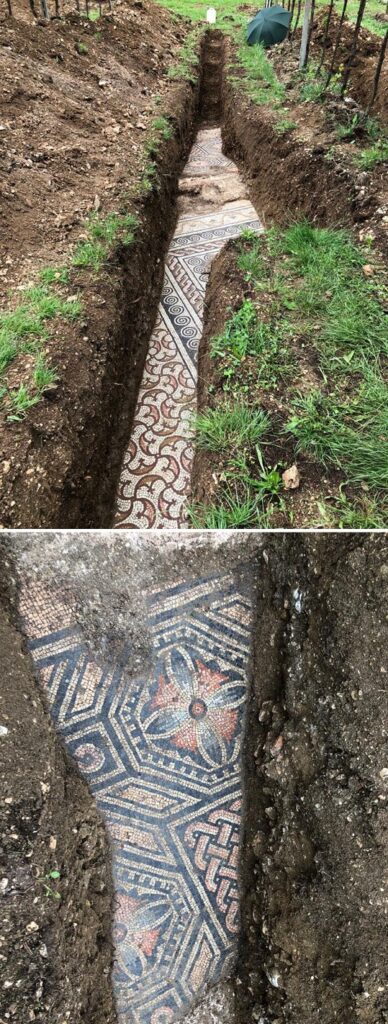 Curiosos descubrimientos arqueológicos. Mosaicos de una villa romana debajo de un viñedo en Negrar, Italia