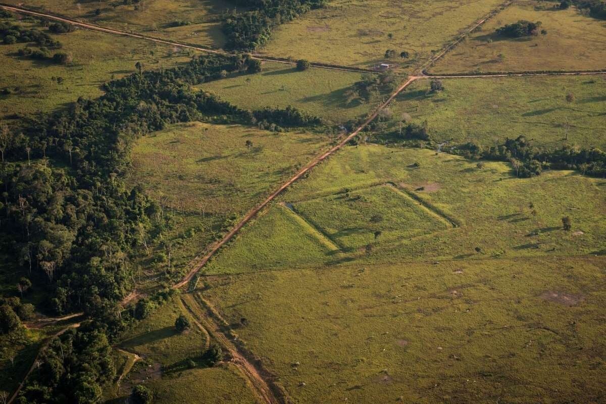 Descubren marcas en las tierras del Amazonas que demuestran la conexión entre los pueblos indígenas