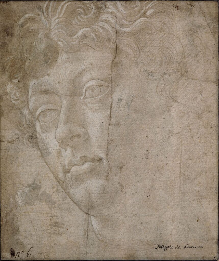 Sandro Botticelli, Head of a Youth, Turned to the Left (ca. 1480). Foto: © RMN-Grand Palais / Art Resource, NY. Foto: Adelaide Beaudoin.