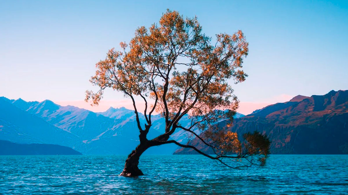 “Naturalmente, de todos”: Cultura Inquieta lanza un concurso fotográfico para celebrar la belleza que nos rodea