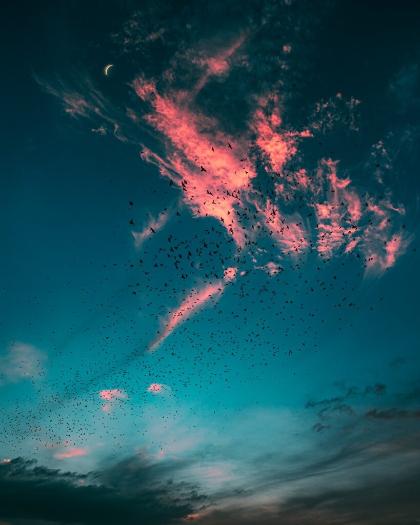 Fotografía de Nirs