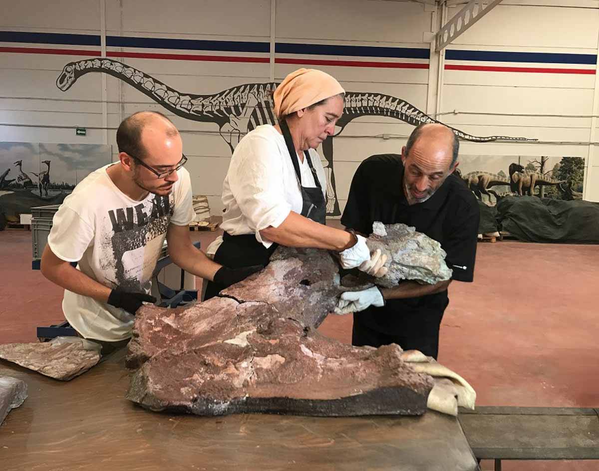 “Qunkasaura pintiquiniestra”, la nueva especie de dinosaurio gigante descubierta en Cuenca