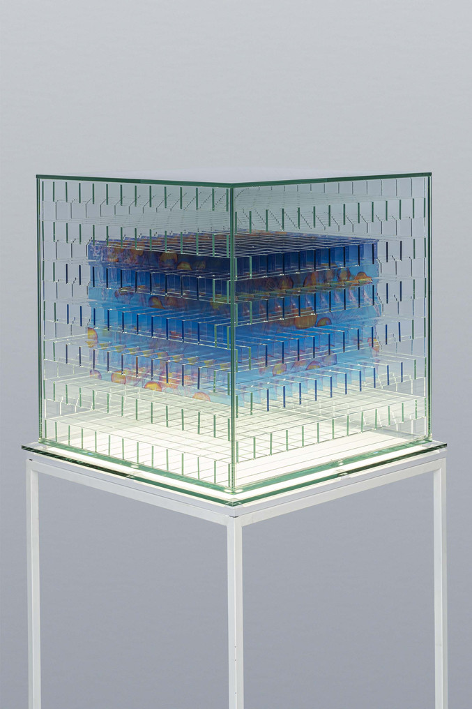 Estudio Mario Valdés. Galería Nuno Sacramento Arte Contemporánea.
