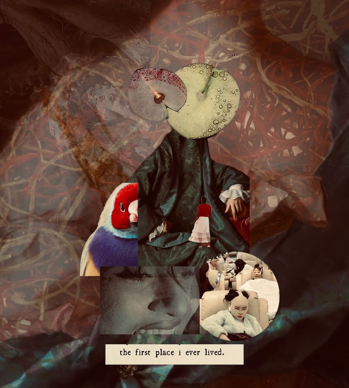 Collage de Isabel Coixet