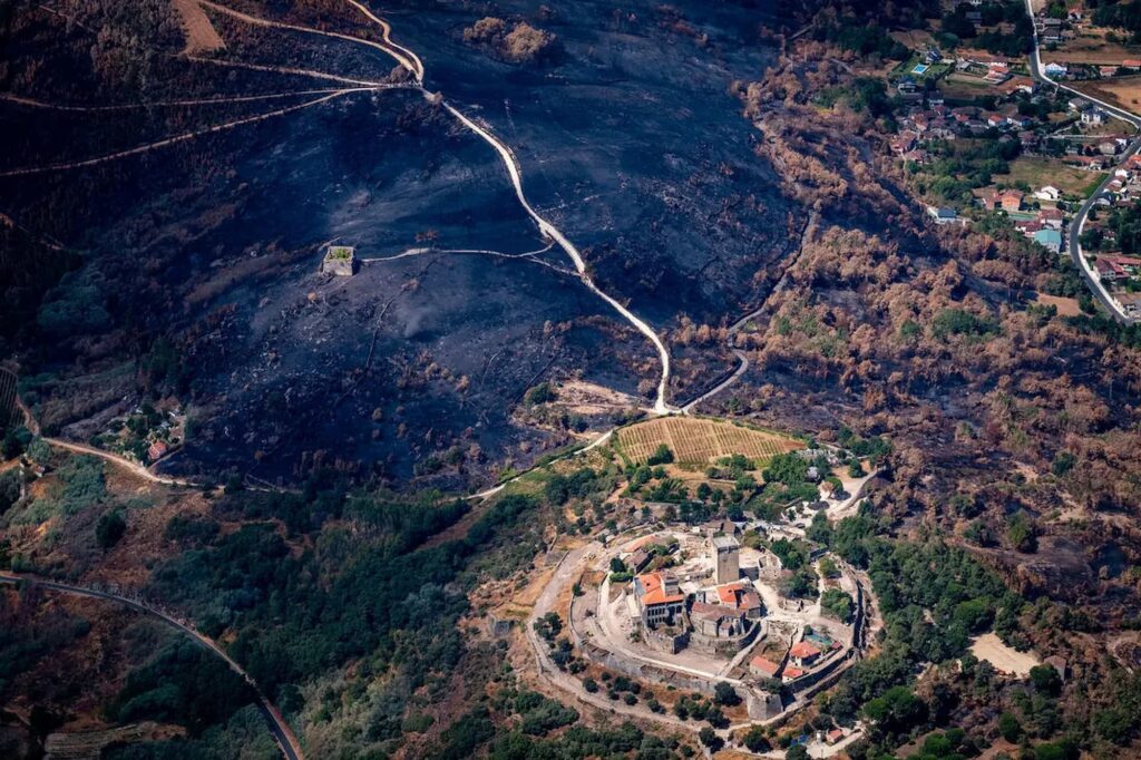 Fotografía de Pedro Armestre para Greenpeace.