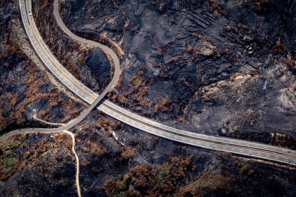 Fotografía de Pedro Armestre para Greenpeace.