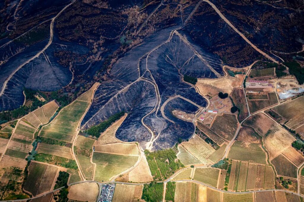 Fotografía de Pedro Armestre para Greenpeace.