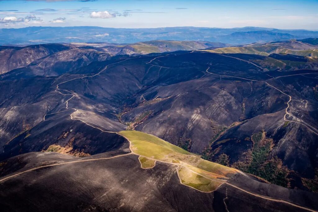 Fotografía de Pedro Armestre para Greenpeace.