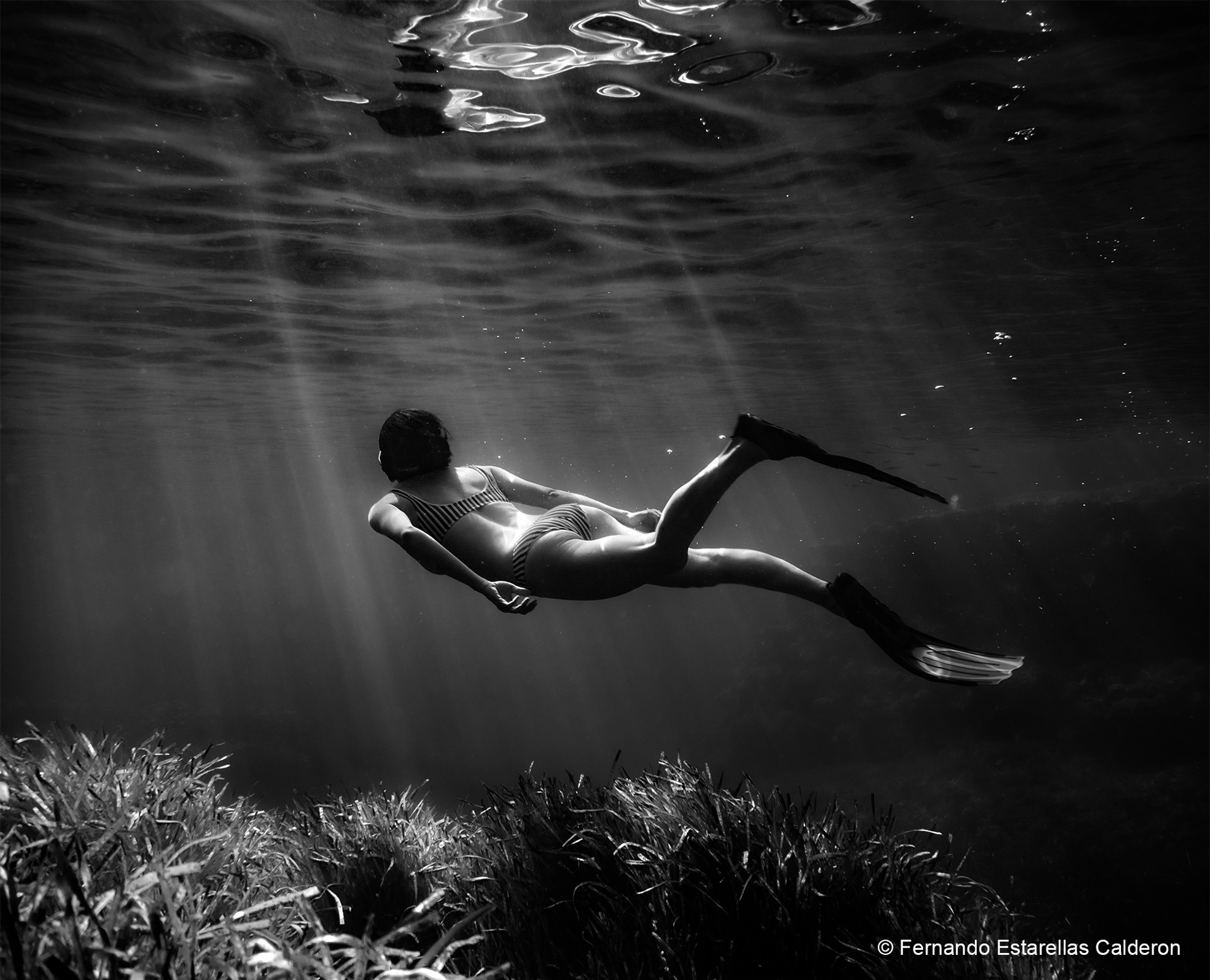 Los reels ganadores del concurso MARE SEA REEL: un homenaje al mar Balear