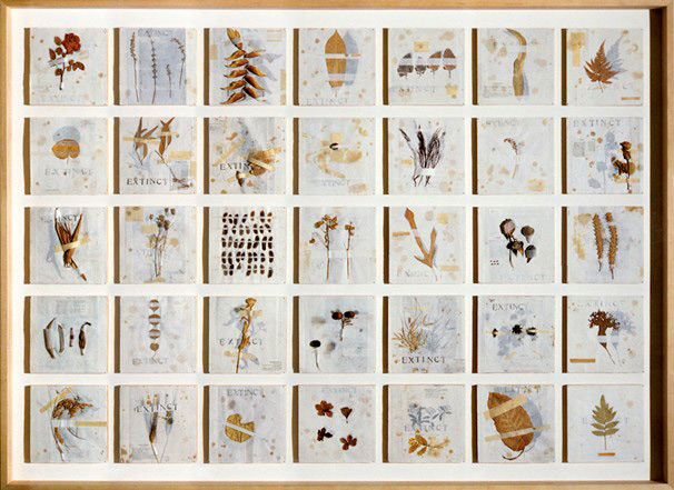 Michelle Stuart, Extintas (Extinct), 1992. 42 plantas/semillas, impresión manual sobre papel de arroz y pino.