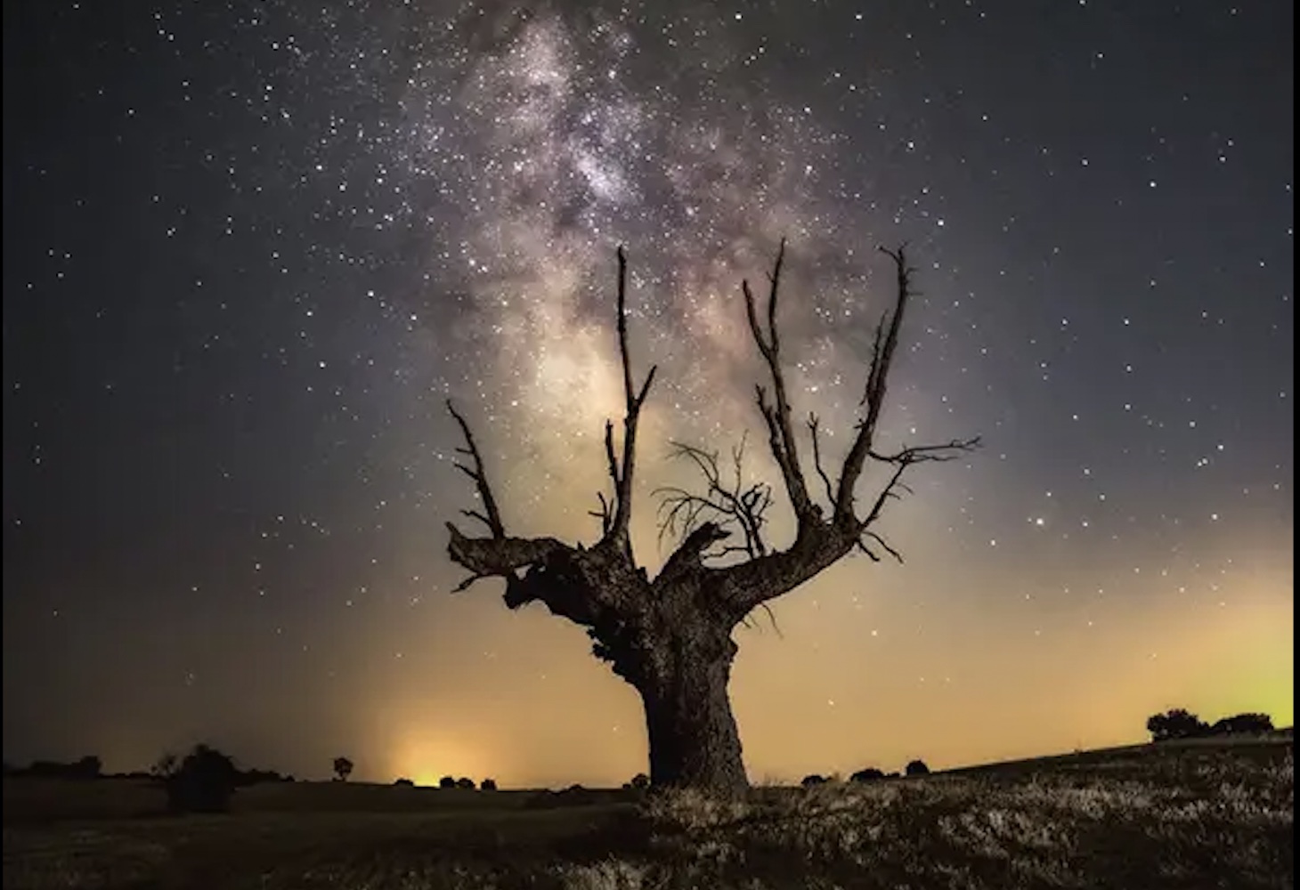 Estas son vuestras fotos favoritas de los concursos de Cultura Inquieta en 2025