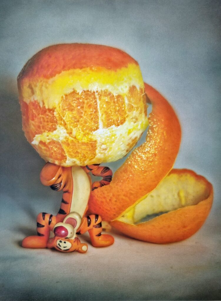 Una naranja a medio pelar y un tigretón, obra de Luis Feo